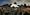 wit paard tussen anderen paarden, foto: Laurens Aaij